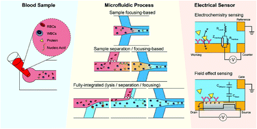 Graphical abstract: Recent advancements in microfluidics that integrate electrical sensors for whole blood analysis
