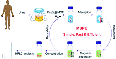 Graphical abstract: Fast magnetic solid-phase extraction using an Fe3O4-NH2@MOF material for monohydroxy polycyclic aromatic hydrocarbons in urine of coke-oven workers