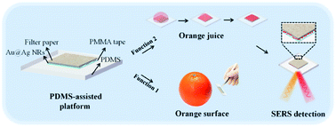 Graphical abstract: A dual-functional PDMS-assisted paper-based SERS platform for the reliable detection of thiram residue both on fruit surfaces and in juice