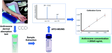 Graphical abstract: Quantification of anthracene after dermal absorption test via APCI-tandem mass spectrometry