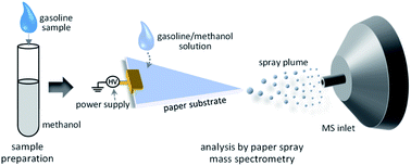 Graphical abstract: Paper spray mass spectrometry for discriminating the quality of commercial gasolines