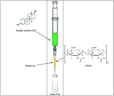Graphical abstract: A novel hybrid micro extraction for the sensitive determination of 17β-estradiol in water samples