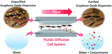 Graphical abstract: Purification of graphene oxide dispersions by using a fluidic cell