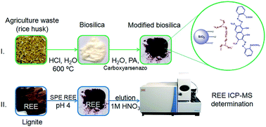 Graphical abstract: Biosilica layer-by-layer modified with polyamines and carboxyarsenazo for REE preconcentration prior to ICP-MS determination in lignites and volcanic fumarole sediment