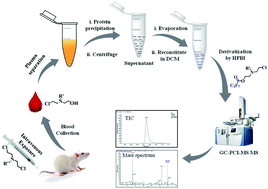 Graphical abstract: Gas chromatography-tandem mass spectrometry-based detection of half nitrogen mustards in plasma as a new biomarker of nitrogen mustard exposure