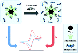 Graphical abstract: β-Cyclodextrin/Fe3O4 nanocomposites for an electrochemical non-enzymatic cholesterol sensor