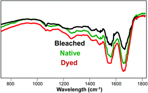 Graphical abstract: Infrared analysis of hair dyeing and bleaching history