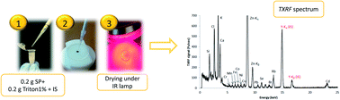 Graphical abstract: Simple and reliable determination of Zn and some additional elements in seminal plasma samples by using total reflection X-ray fluorescence spectroscopy