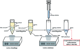 Graphical abstract: Miniaturized vortex assisted-dispersive molecularly imprinted polymer micro-solid phase extraction and HPLC-MS/MS for assessing trace aflatoxins in cultured fish