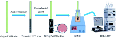 Graphical abstract: Selective and efficient solid-phase microextraction of polycyclic aromatic hydrocarbons in water by robust two-dimensional zinc oxide nanosheets grown on a superelastic nickel–titanium alloy fiber prior to determination by HPLC-UV