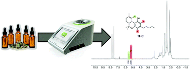 Graphical abstract: Quantitative analysis of cannabinoids using benchtop NMR instruments