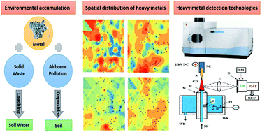 Graphical abstract: Review of the distribution and detection methods of heavy metals in the environment