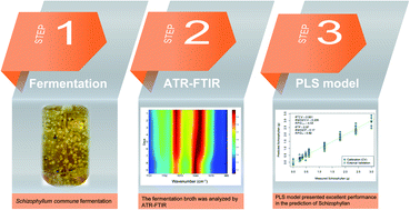 Graphical abstract: Quantification of schizophyllan directly from the fermented broth by ATR-FTIR and PLS regression