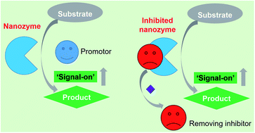 Graphical abstract: Designing signal-on sensors by regulating nanozyme activity