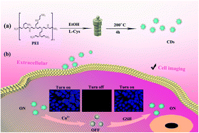 Graphical abstract: An “on–off–on” selective fluorescent probe based on nitrogen and sulfur co-doped carbon dots for detecting Cu2+ and GSH in living cells