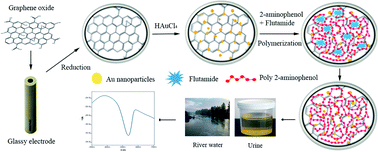 Graphical abstract: A molecularly imprinted poly 2-aminophenol–gold nanoparticle–reduced graphene oxide composite for electrochemical determination of flutamide in environmental and biological samples