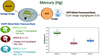 Graphical abstract: Optimization and in-house validation of the TDA-AAS method for mercury control in water and wastewater treatment plant sludges