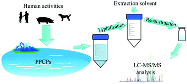 Graphical abstract: Determination of 38 pharmaceuticals and personal care products in water by lyophilization combined with liquid chromatography-tandem mass spectrometry