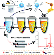 Graphical abstract: Application of core–satellite polydopamine-coated Fe3O4 nanoparticles–hollow porous molecularly imprinted polymer combined with HPLC-MS/MS for the quantification of macrolide antibiotics