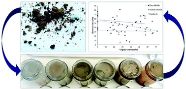 Graphical abstract: Developing a systematic method for extraction of microplastics in soils