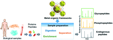 Graphical abstract: Metal–organic frameworks as advanced materials for sample preparation of bioactive peptides