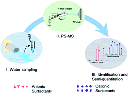 Graphical abstract: Rapid analysis of anionic and cationic surfactants in water by paper spray mass spectrometry