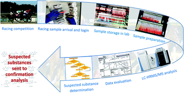 Graphical abstract: Use of high resolution/accurate mass full scan/data-dependent acquisition for targeted/non-targeted screening in equine doping control