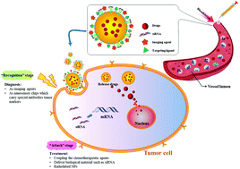 Graphical abstract: Nanomedicine – a promising therapy for hematological malignancies