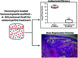Graphical abstract: Biodegradable nanocomposite fibrous scaffold mediated local delivery of vancomycin for the treatment of MRSA infected experimental osteomyelitis
