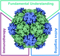 Graphical abstract: Protein cages and virus-like particles: from fundamental insight to biomimetic therapeutics