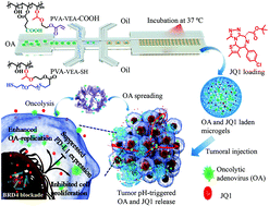 Graphical abstract: Tumor localization of oncolytic adenovirus assisted by pH-degradable microgels with JQ1-mediated boosting replication and PD-L1 suppression for enhanced cancer therapy
