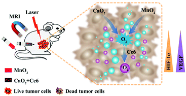 Graphical abstract: Nanozyme-catalyzed oxygen release from calcium peroxide nanoparticles for accelerated hypoxia relief and image-guided super-efficient photodynamic therapy