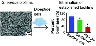 Graphical abstract: H2S-releasing amphiphilic dipeptide hydrogels are potent S. aureus biofilm disruptors
