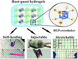 Graphical abstract: A super-stretchable, self-healing and injectable supramolecular hydrogel constructed by a host–guest crosslinker