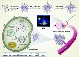 Graphical abstract: A reduction and pH dual-sensitive nanodrug for targeted theranostics in hepatocellular carcinoma
