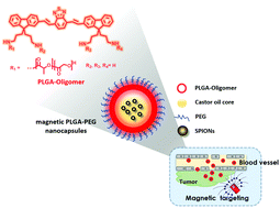 Graphical abstract: Engineering red-emitting multi-functional nanocapsules for magnetic tumour targeting and imaging