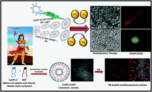 Graphical abstract: High antimicrobial photodynamic activity of photosensitizer encapsulated dual-functional metallocatanionic vesicles against drug-resistant bacteria S. aureus