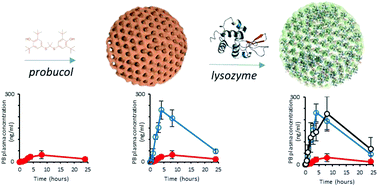 Graphical abstract: A lysozyme corona complex for the controlled pharmacokinetic release of probucol from mesoporous silica particles