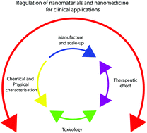 Graphical abstract: The regulation of nanomaterials and nanomedicines for clinical application: current and future perspectives