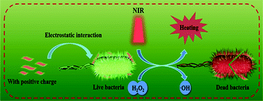 Graphical abstract: A bifunctional nanoplatform based on copper manganate nanoflakes for bacterial elimination via a catalytic and photothermal synergistic effect