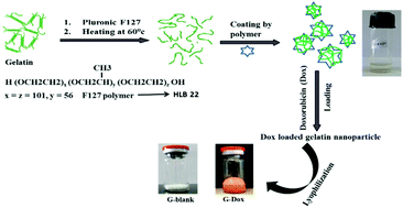 Graphical abstract: Preparation of a size selective nanocomposite through temperature assisted co-assembly of gelatin and pluronic F127 for passive targeting of doxorubicin