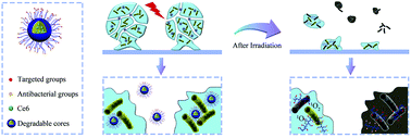 Graphical abstract: An on-demand nanoplatform for enhanced elimination of drug-resistant bacteria