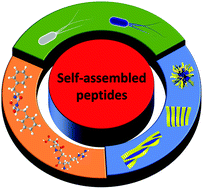 Graphical abstract: Recent advances: peptides and self-assembled peptide-nanosystems for antimicrobial therapy and diagnosis