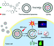 Graphical abstract: A thermosensitive nanoplatform for photoacoustic imaging and NIR light triggered chemo-photothermal therapy