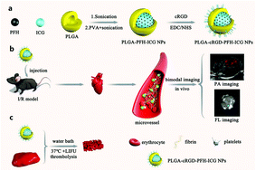 Graphical abstract: Multimodal and multifunctional nanoparticles with platelet targeting ability and phase transition efficiency for the molecular imaging and thrombolysis of coronary microthrombi