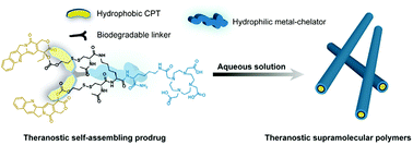 Graphical abstract: Theranostic supramolecular polymers formed by the self-assembly of a metal-chelating prodrug