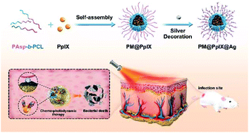 Graphical abstract: Silver-decorated, light-activatable polymeric antimicrobials for combined chemo-photodynamic therapy of drug-resistant bacterial infection