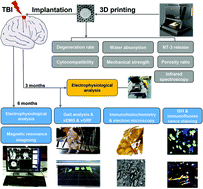 Graphical abstract: 3D printing collagen/heparin sulfate scaffolds boost neural network reconstruction and motor function recovery after traumatic brain injury in canine