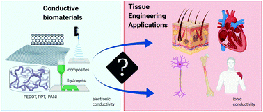 Graphical abstract: Electroconductive scaffolds for tissue engineering applications