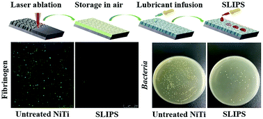 Graphical abstract: A femtosecond Bessel laser for preparing a nontoxic slippery liquid-infused porous surface (SLIPS) for improving the hemocompatibility of NiTi alloys